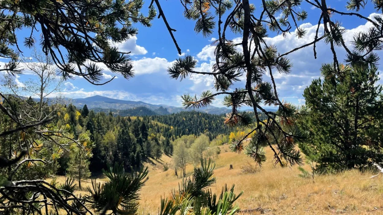 Mueller state park clearance hiking